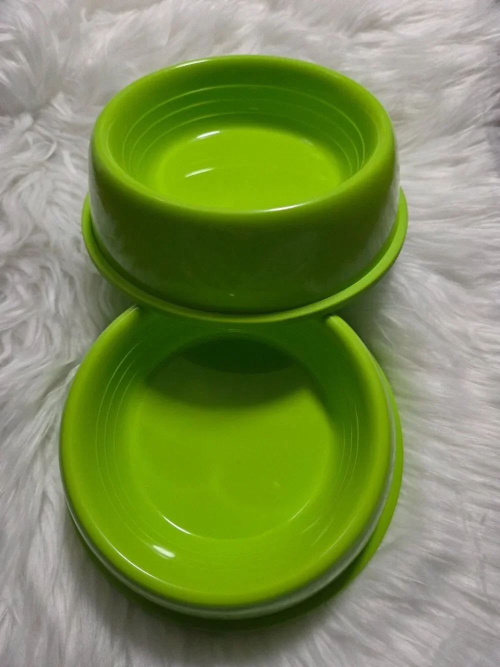 Sun Squad Set of 2 Dog Bowls